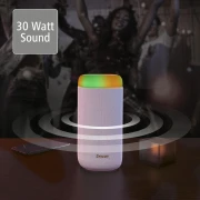 Блутут колонка HAMA Shine 2.0, 30W