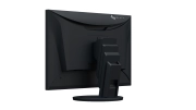 EIZO FlexScan EV2495