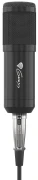 Genesis Radium 300 XLR
