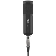 Genesis Radium 300 XLR