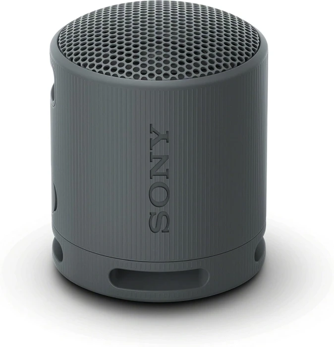 Sony SRS-XB100 Bluetooth - Black
