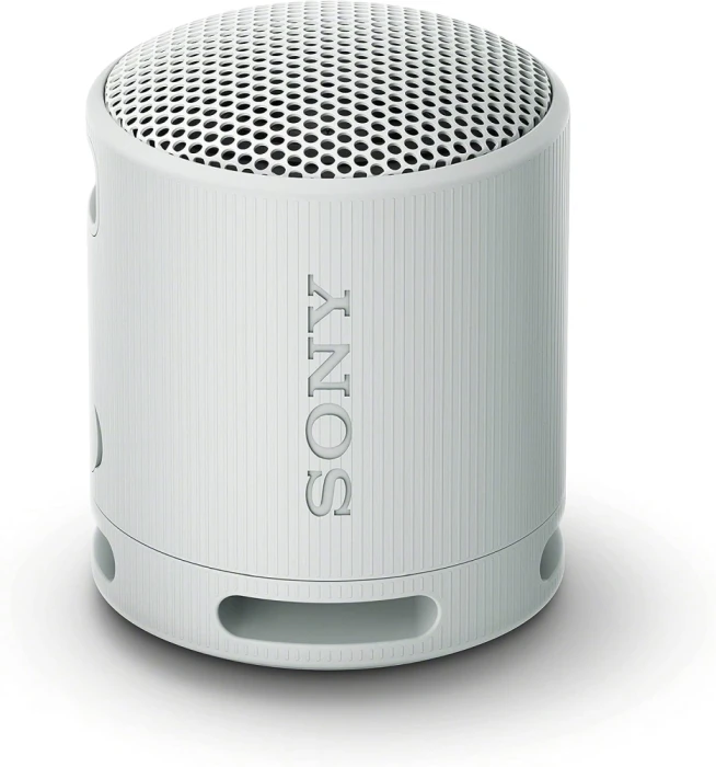 Sony SRS-XB100 Bluetooth - Grey