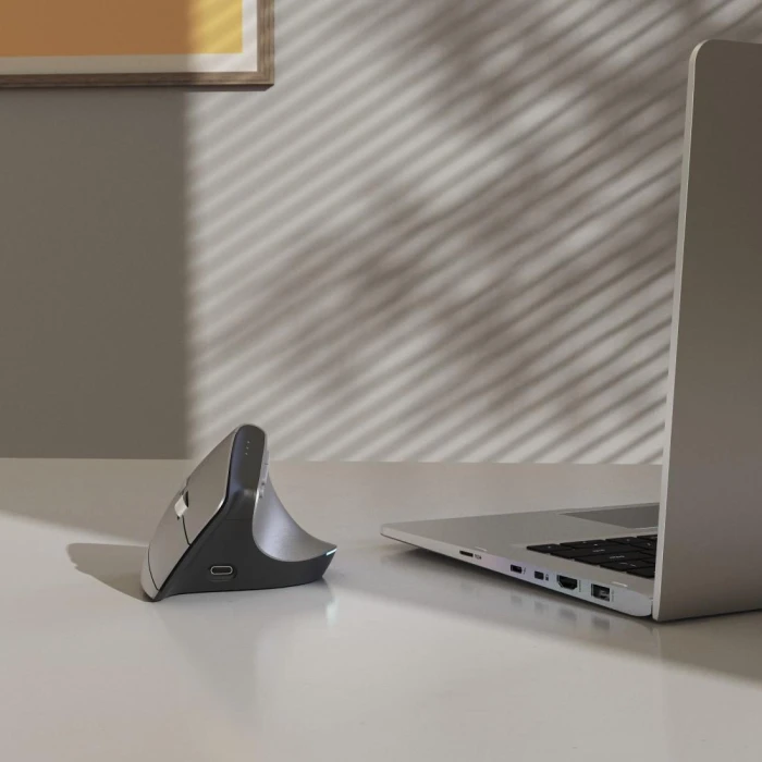 HAMA вертикална EMW-700 антрацит