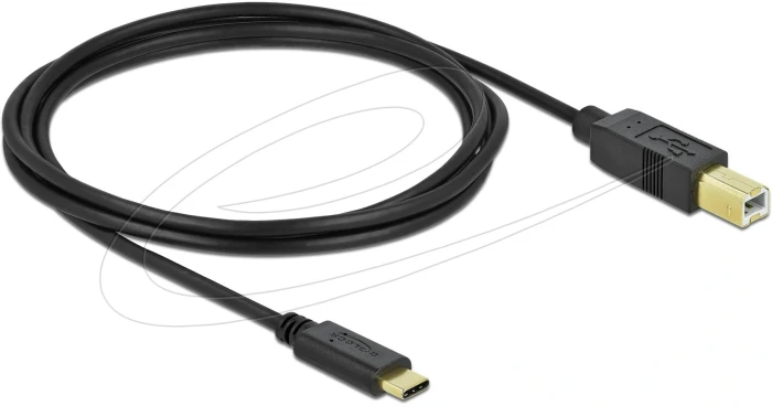 Delock USB-C > USB-B 2.0 - 5.0m