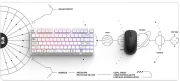 Dark Project - Terra Nova White XL