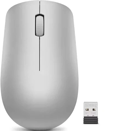 Lenovo 530 Wireless (Platinum Grey)