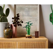 LEGO Botanicals - Lucky Bamboo, 10344