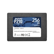 Patriot P210 256GB