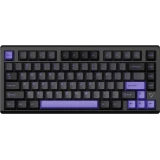 VGN VXE75 V2 Misty Purple Aniya