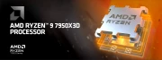 AMD Ryzen 9 7950X3D