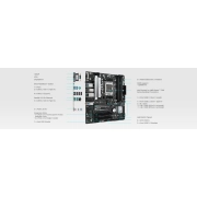 ASUS PRIME B650M-A II