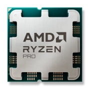 AMD Ryzen 3 PRO 8300G - MPK