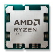 AMD Ryzen 3 PRO 8300G - MPK