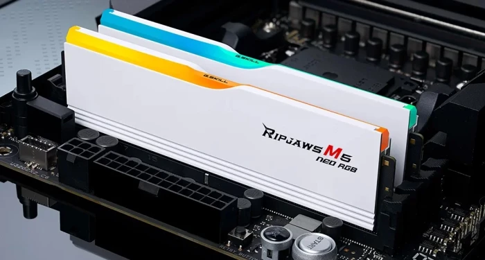 48GB (2x24) DDR5-6000 CL30 G.SKILL Ripjaws M5 Neo RGB AMD EXPO