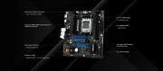 ASRock A620AM-X