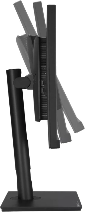 ASUS ProArt Display PA348CGV 34" IPS