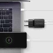 AXAGON ACU-PQ30W PD3.0 & QC4+ 30W
