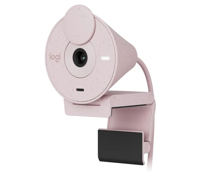 LOGITECH Brio 300 Full-HD USB-C Rose