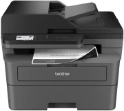 Brother MFC-L2862DW