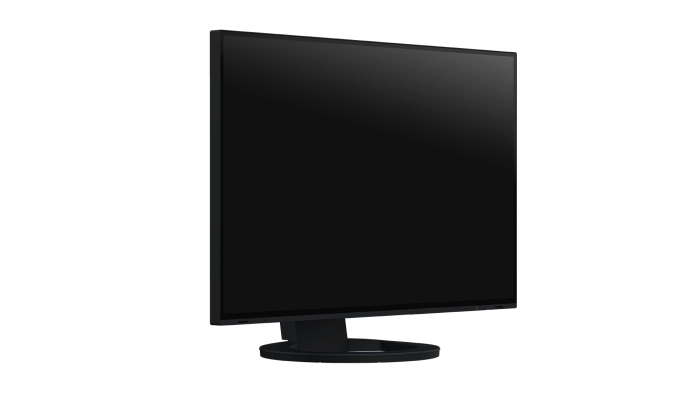 EIZO FlexScan EV2495