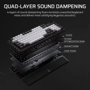 CORSAIR VANGUARD 96 - MLX Plasma