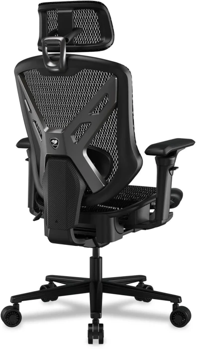 COUGAR SPEEDER Black