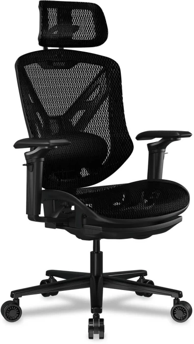 COUGAR SPEEDER Black
