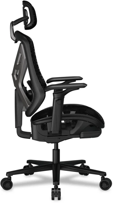COUGAR SPEEDER Black