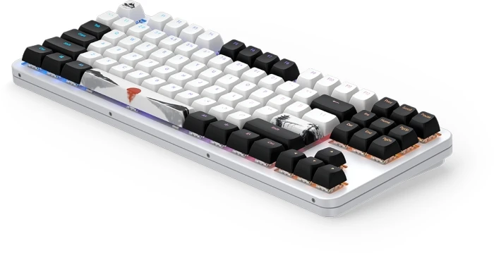 Dark Project 87 Fuji V2 RGB TKL