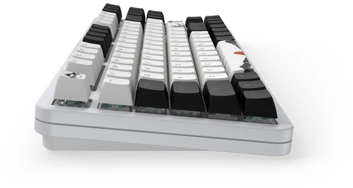 Dark Project 87 Fuji V2 RGB TKL