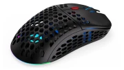 Endorfy LIX Plus Wireless Black