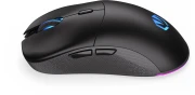 Endorfy GEM Plus Wireless Black