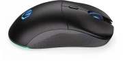 Endorfy GEM Plus Wireless Black