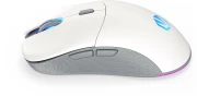Endorfy GEM Plus Wireless Onyx White
