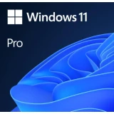 Microsoft Windows 11 Pro OEM