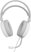 Genesis Neon 613 White