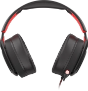 Genesis Radon 610
