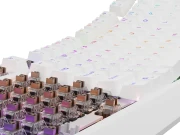 Genesis Thor 230 TKL White Brown Switch