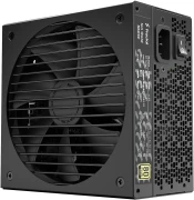 FRACTAL DESIGN Ion Gold 550W
