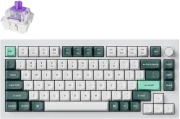 Keychron Q1 HE QMK Nebula Switch
