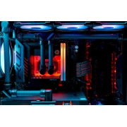 KINGSTON FURY Renegade RGB Limited XMP 48GB (2x24GB) DDR5 8000MHz CL36