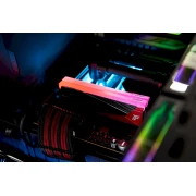 KINGSTON FURY Renegade RGB Limited XMP 48GB (2x24GB) DDR5 8000MHz CL36