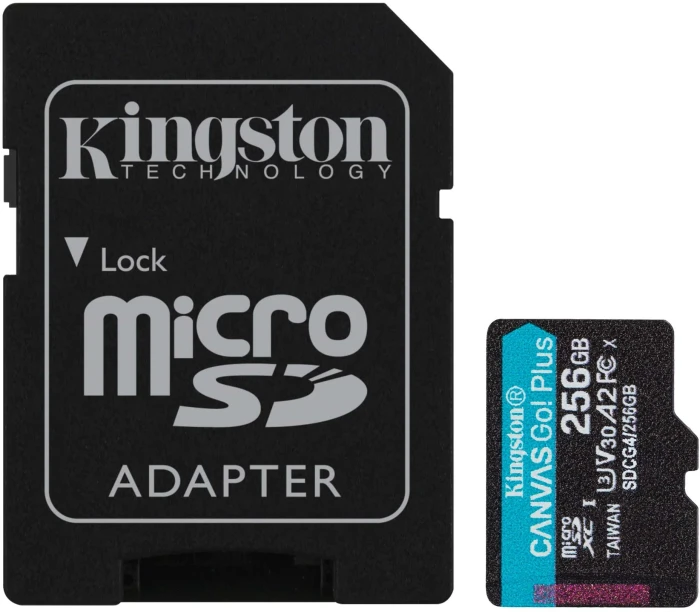 KINGSTON Canvas Go! Plus G4 256GB