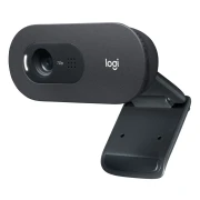 LOGITECH C505e HD