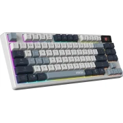 MSI FORGE GK600 TKL LCD WIRELESS SKY