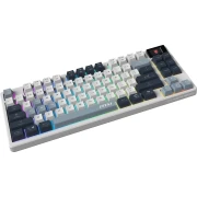 MSI FORGE GK600 TKL LCD WIRELESS SKY