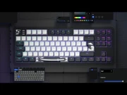 Dark Project 87 Fuji V2 RGB TKL