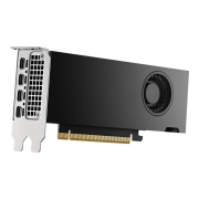 NVIDIA RTX 2000 Ada Generation 16GB