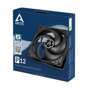 Arctic P12