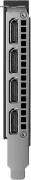 PNY RTX 4000 20GB Ada Generation